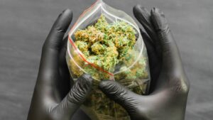 Weed Delivery in Texas