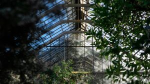 Tapping the Earth’s Warm Heart with Greenhouse Builders VB